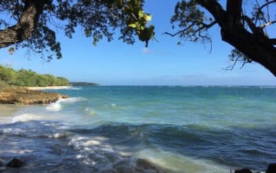 Overlijden in het buitenland